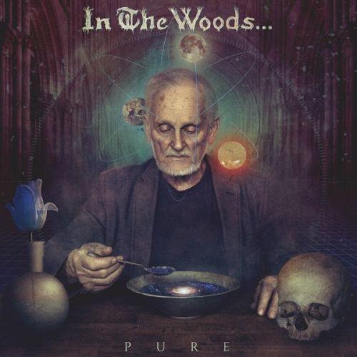In the Woods Pure (2LP)